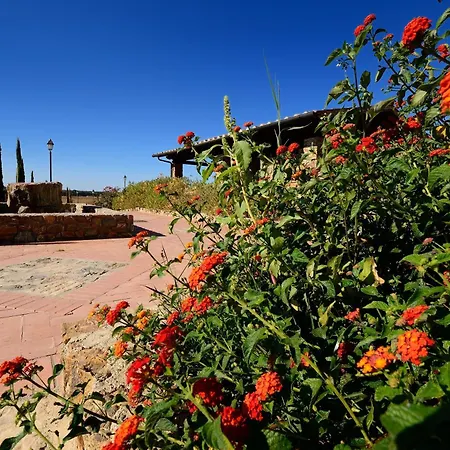 Superior Mit 2 Schlafzimmern Und Garten Appartement *